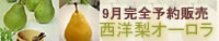高級西洋梨オーロラ