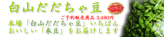�������ᓤ�̒��ł��u�����h���R�������ᓤ