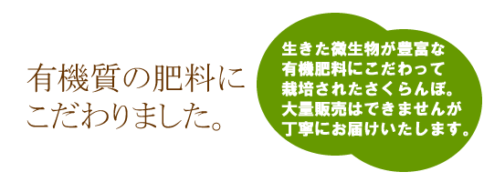 http://mameweb.com/image/sakuranbo/yuuki.gif